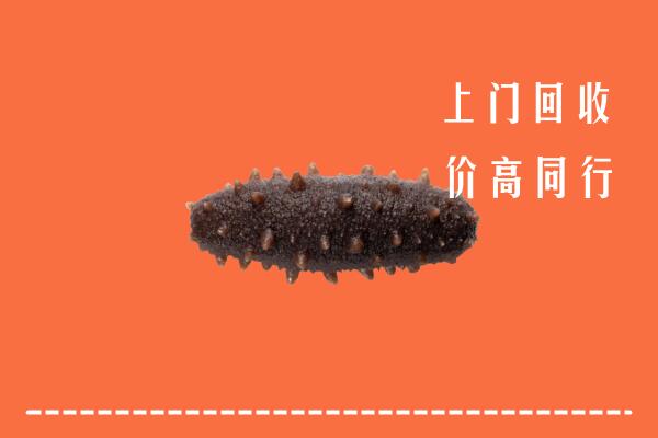 高价求购：长治回收海参